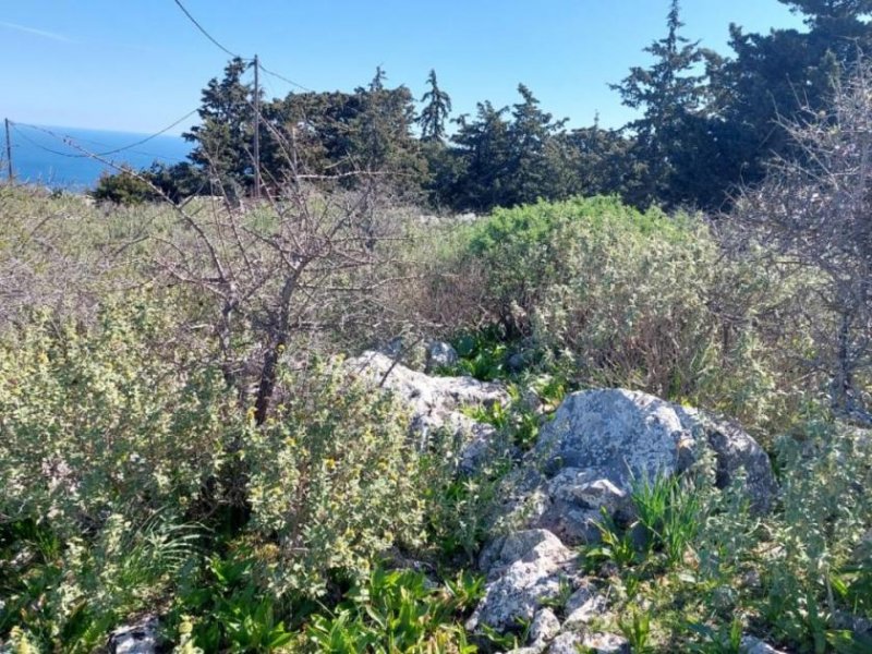 Kefalas Kreta, Kefalas Chania: Atemberaubendes Grundstück mit Meerblick zum Verkauf Grundstück kaufen